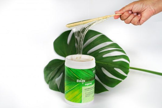 BioLife cukraus pasta pasta be rūgščių, 1400 g