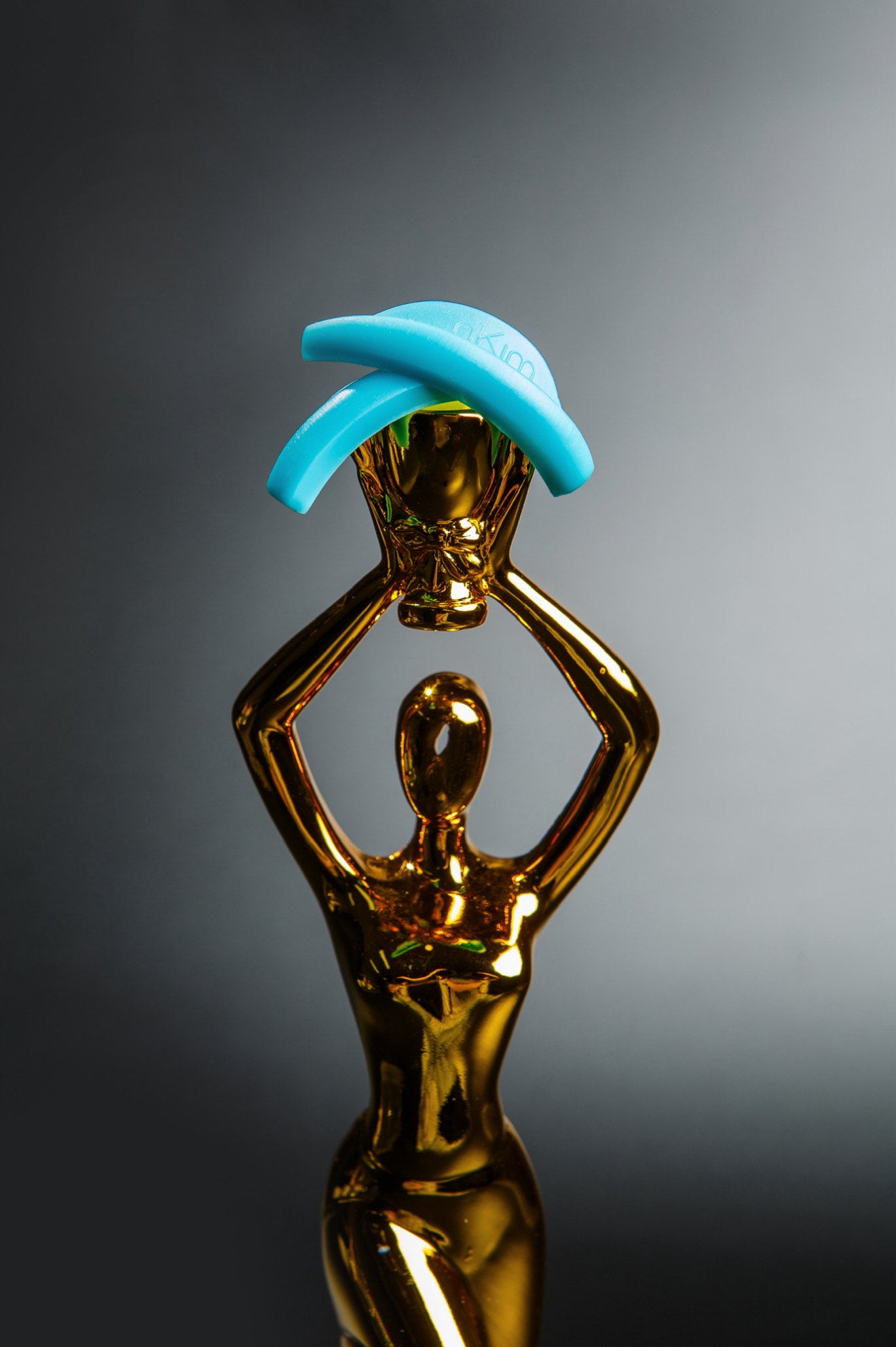 nKim BLAKSTIENŲ LAMINAVIMO VOLELIAI 4 poros volelių (S, M, M1, L dydžiai)